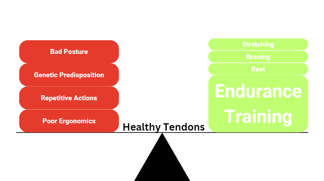 Balanced tendons diagram showing endurance training balancing the scale
