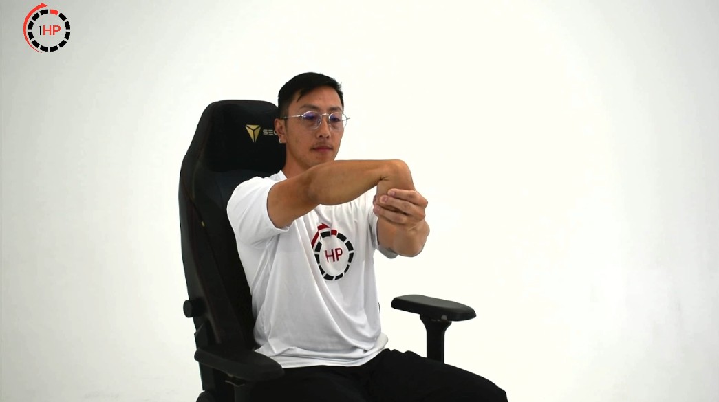 Wrist Extensor Stretch