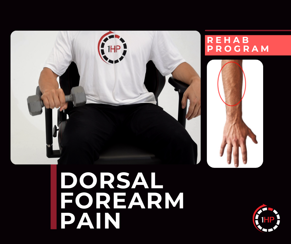 Exercise Program 4