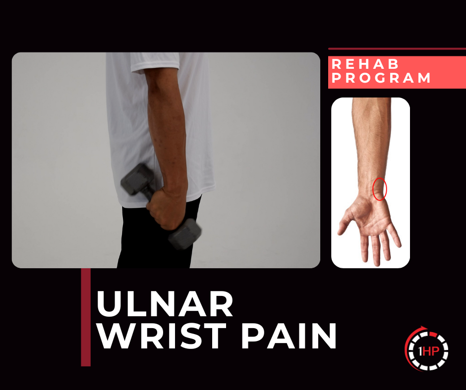 Exercise Program 7