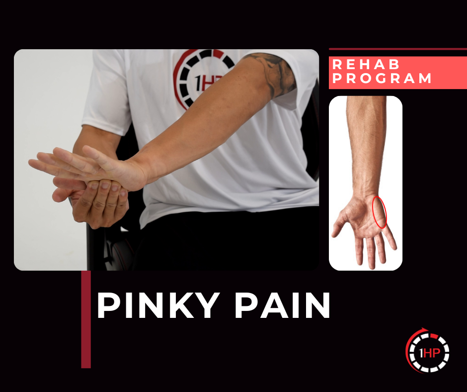 Exercise Program 8