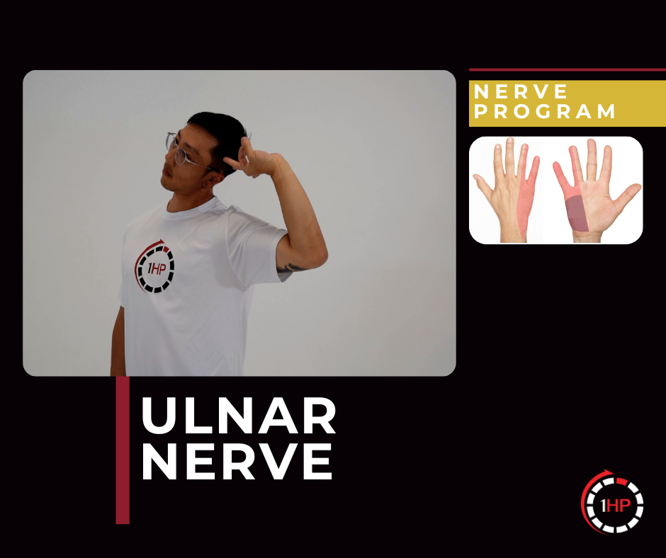 Exercise Program 9