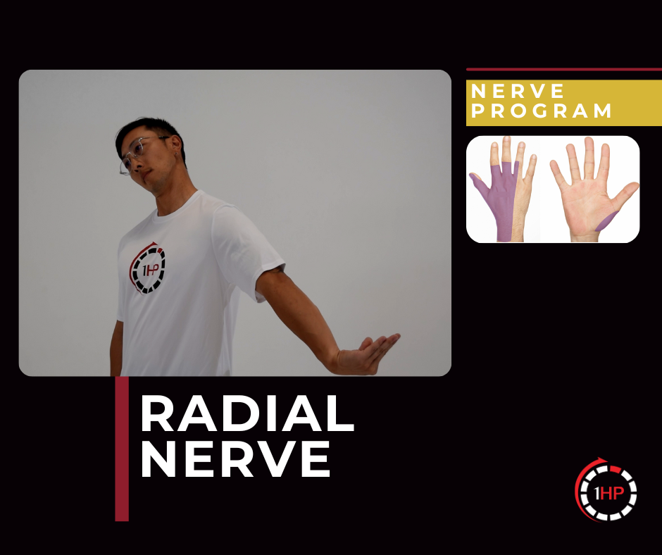 Exercise Program 11