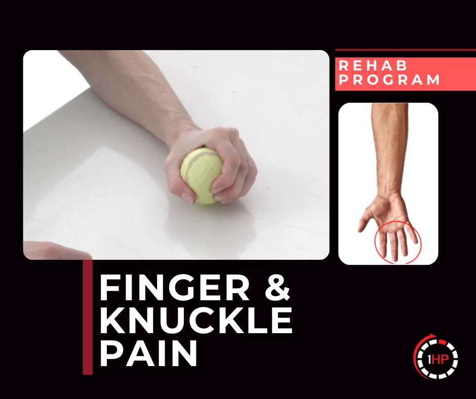 Exercise Program 2